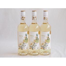 スペイン金賞受賞3本セット(白ワイン ラ・フェア・ヴィウラ・シャルドネ辛口) 750ml×3本
