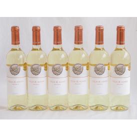 スペイン金賞受賞6本セット(白ワイン ビリャデアドノス マカベオ 辛口) 750ml×6本