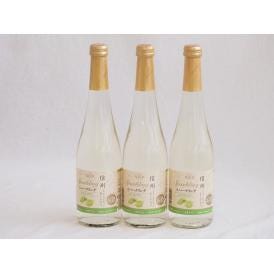 信州特産ぶどう100％3本セット(シャインマスカット＆ナイアガラスパークリングワイン(長野県)) 5