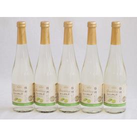 信州特産ぶどう100％5本セット(シャインマスカット＆ナイアガラスパークリングワイン(長野県)) 5