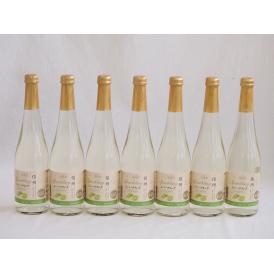 信州特産ぶどう100％7本セット(シャインマスカット＆ナイアガラスパークリングワイン(長野県)) 5