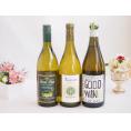 産地別白ワインシャルドネ3本セット(フエンテ フルータ(チリ) レ タンヌ オクシタン(フランス) 