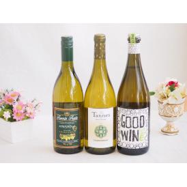 産地別白ワインシャルドネ3本セット(フエンテ フルータ(チリ) レ タンヌ オクシタン(フランス) 