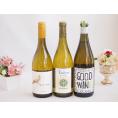 産地別白ワインシャルドネ3本セット(ビーニャ デル デルスール(チリ) レ タンヌ オクシタン(フラ