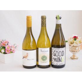 産地別白ワインシャルドネ3本セット(ビーニャ デル デルスール(チリ) レ タンヌ オクシタン(フラ