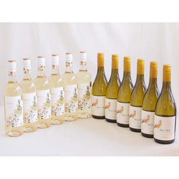 産地別白ワインシャルドネ12本セット(ビーニャ デル デルスール