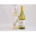 産地別白ワインシャルドネ2本セット(テラスル(チリ) ラ フェア ヴィウラ(スペイン)) 750ml