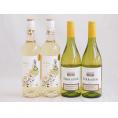 産地別白ワインシャルドネ4本セット(テラスル(チリ) ラ フェア ヴィウラ(スペイン)) 750ml