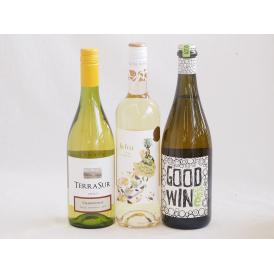 産地別白ワインシャルドネ3本セット(テラスル(チリ) ラ フェア ヴィウラ(スペイン) グッドワイン