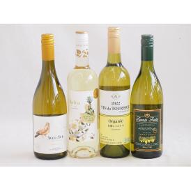 産地別白ワインシャルドネ4本セット(フエンテ フルータ(チリ) ビーニャ デル デルスール(チリ) 