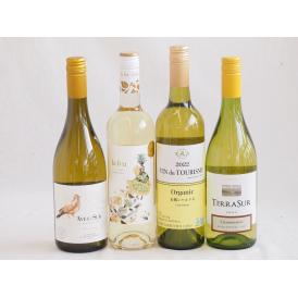 産地別白ワインシャルドネ4本セット(テラスル(チリ) ビーニャ デル デルスール(チリ) ヴァン ド