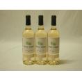 3本セット(格上フランス5冠金賞受賞 白ワイン テールオセアン) 750ml×3本