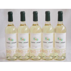 5本セット(格上フランス5冠金賞受賞 白ワイン テールオセアン) 750ml×5本