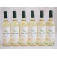 6本セット(格上フランス5冠金賞受賞 白ワイン テールオセアン) 750ml×6本