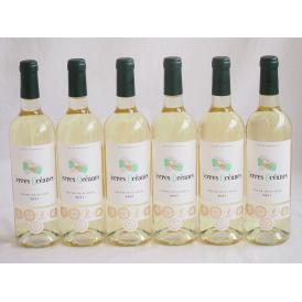 6本セット(格上フランス5冠金賞受賞 白ワイン テールオセアン) 750ml×6本