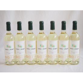7本セット(格上フランス5冠金賞受賞 白ワイン テールオセアン) 750ml×7本