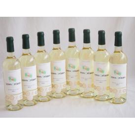 8本セット(格上フランス5冠金賞受賞 白ワイン テールオセアン) 750ml×8本