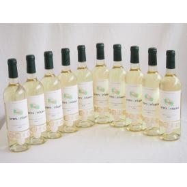 10本セット(格上フランス5冠金賞受賞 白ワイン テールオセアン) 750ml×10本