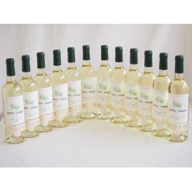 12本セット(格上フランス5冠金賞受賞 白ワイン テールオセアン) 750ml×12本