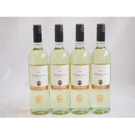 4本セット(金賞受賞イタリア白ワイン コルテマーニャ トレッビアーノ プーリア) 750ml×4本
