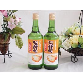2本セット(さっぽろ じゃがいも焼酎(北海道)) 720ml×2本