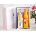 夏の贈り物お中元 贅沢な日本酒感謝ボックス2本セット(金鯱初夢桜 厳封大吟醸(愛知) 宮の雪極上(三重)) 720ml