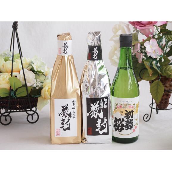 日本限定 新品/未開封/12本セット【初夢桜 大吟醸酒】日本酒 厳封 日本酒