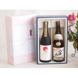 贅沢な日本酒感謝ボックス2本セット(金鯱大吟醸(愛知) 八海山特別本醸造(新潟)) 720ml×2本