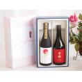 夏の贈り物お中元 贅沢な日本酒感謝ボックス2本セット(南部美人特別純米(岩手) 金鯱大吟醸(愛知)) 720ml×2本