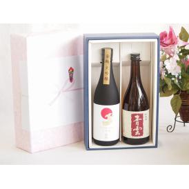 贅沢な日本酒感謝ボックス2本セット(金鯱大吟醸(愛知) 後藤酒造 青雲純米(三重)) 720ml×2