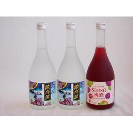 楽しむ鍛高譚3本セット(しそ焼酎鍛高譚20% SHISO梅酒12%) 720ml×3本