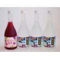 楽しむ鍛高譚4本セット(しそ焼酎鍛高譚20% SHISO梅酒12%) 720ml×4本