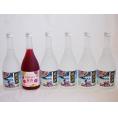 楽しむ鍛高譚6本セット(しそ焼酎鍛高譚20% SHISO梅酒12%) 720ml×6本