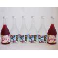楽しむ鍛高譚6本セット(しそ焼酎鍛高譚20% SHISO梅酒12%) 720ml×6本