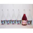 楽しむ鍛高譚6本セット(しそ焼酎鍛高譚20% SHISO梅酒12%) 720ml×6本