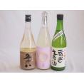 にごり酒決定版 3本セット(柏露純米吟醸(新潟) 早川酒造蔵出し生原酒本醸造(三重) 菊水五郎八(新潟)) 720ml×3本