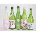 にごり酒決定版 5本セット(柏露純米吟醸(新潟) 早川酒造蔵出し生原酒本醸造(三重) 桃川にごり原酒(青森) 宮崎本店宮の雪(三重) 三輪酒造白川郷純米(岐阜)) 720ml×5本