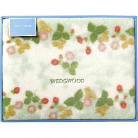春の贈り物 アクリルニューマイヤー毛布（毛羽部分） ウェッジウッド グリーン 140×200cm