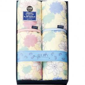 夏の贈り物お中元 東レ抗菌防臭わた（セベリス）入り キルト肌掛ふとん2P AILITY 140×190cm