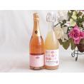 桃のお酒を楽しめる2本セット(山梨県ももワイン 脱アルコールカールユングピーチ(ドイツ)) 720ml×1本 750ml×1本