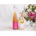 国産桃のお酒を楽しめる2本セット(もも梅酒ももはじめました 信州のももを使ったワイン) 500ml×2本