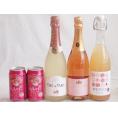 桃のお酒を楽しめる5本セット(山梨県ももワイン カフェ ド パリ ピーチスパークリング(フランス) 脱アルコールカールユングピーチ(ドイツ) 福島もものチューハイ缶) 720ml×1本 750ml×2
