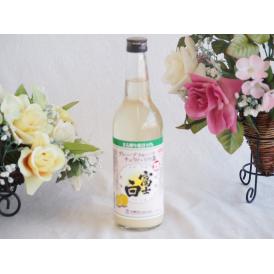 グレープフルーツチュハイの素 富士白 25度 (和歌山県) 600ml×1本