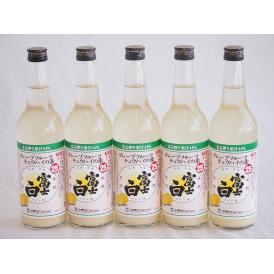 5本セット(グレープフルーツチュハイの素 富士白 25度 (和歌山県)) 600ml×5本
