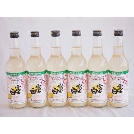 6本セット(グレープフルーツチュハイの素 富士白 25度 (和歌山県)) 600ml×6本