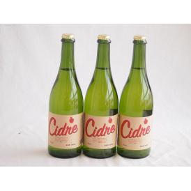 3本セット(長野県産りんご スペイン風シードル ストロングサワー 辛口) 750ml×3本
