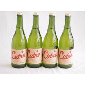 4本セット(長野県産りんご スペイン風シードル ストロングサワー 辛口) 750ml×4本