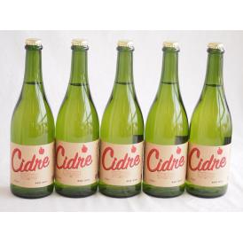 5本セット(長野県産りんご スペイン風シードル ストロングサワー 辛口) 750ml×5本
