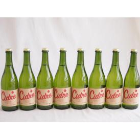 8本セット(長野県産りんご スペイン風シードル ストロングサワー 辛口) 750ml×8本