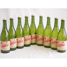 9本セット(長野県産りんご スペイン風シードル ストロングサワー 辛口) 750ml×9本